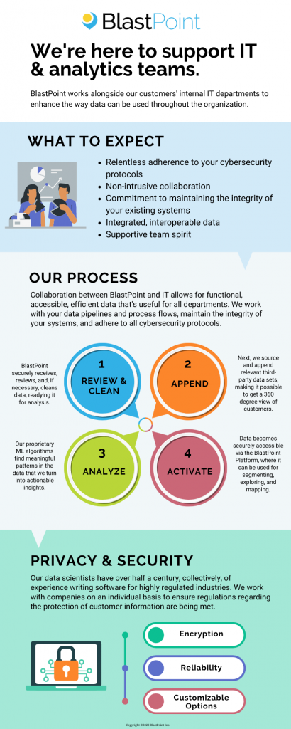 Infographic: Working with IT & Analytics Teams
