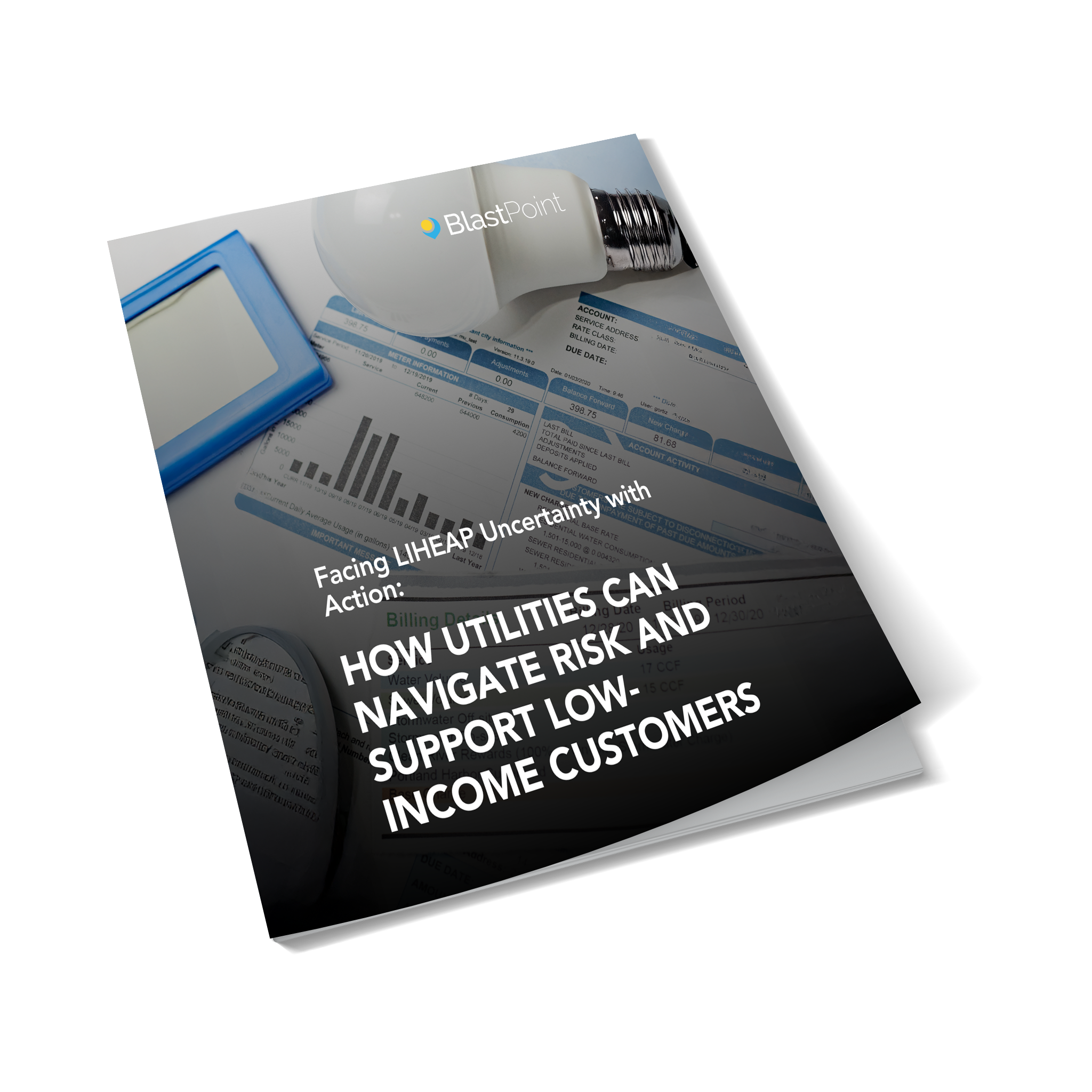 | White Paper LIHEAP