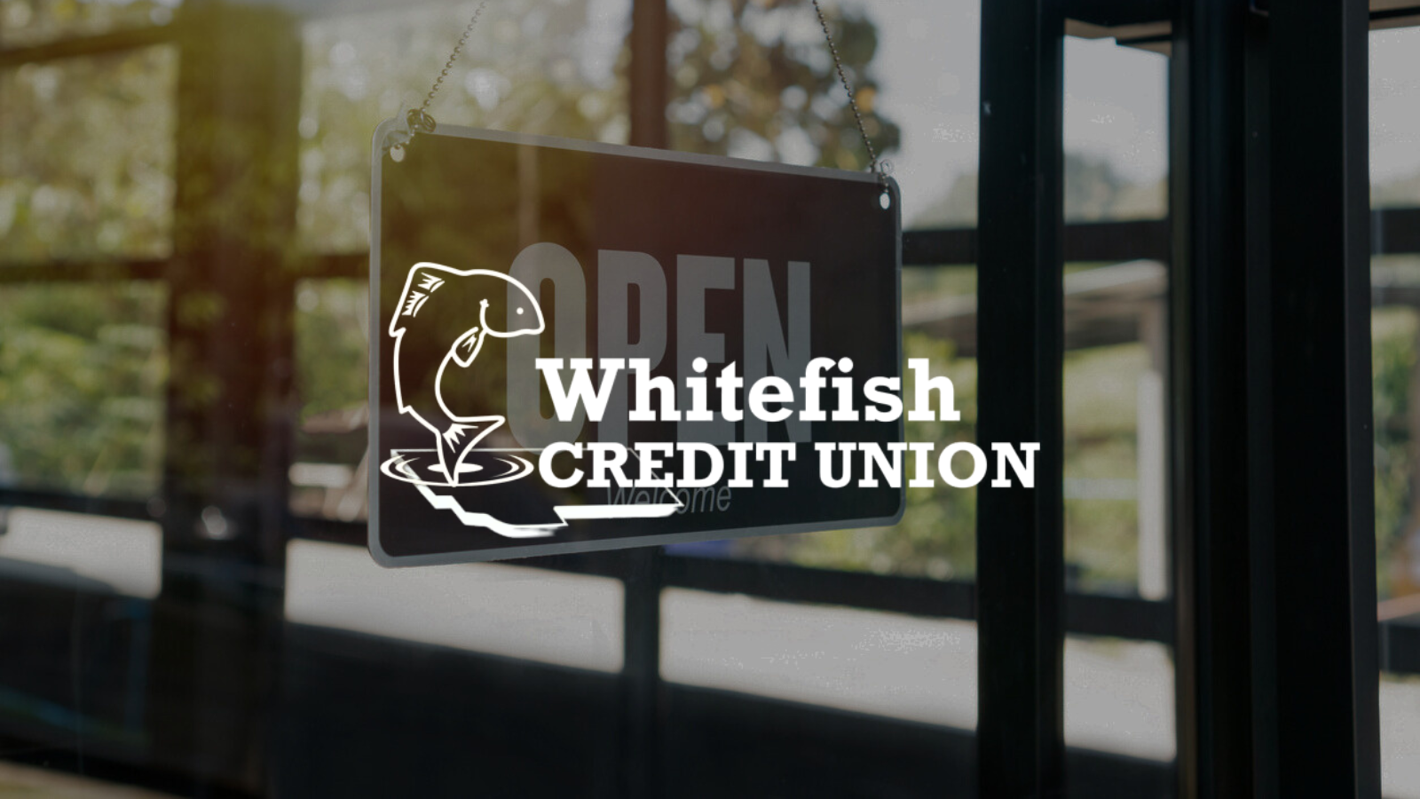 Case study whitefish Missoula branch open campaign